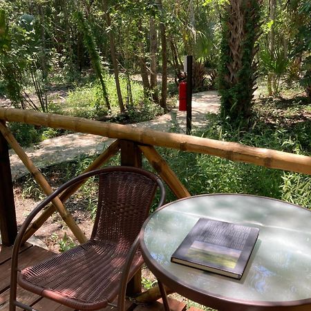 Selva Teenek Eco-Park ซิวดัด วัลเลส ภายนอก รูปภาพ