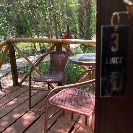 Selva Teenek Eco-Park ซิวดัด วัลเลส ภายนอก รูปภาพ