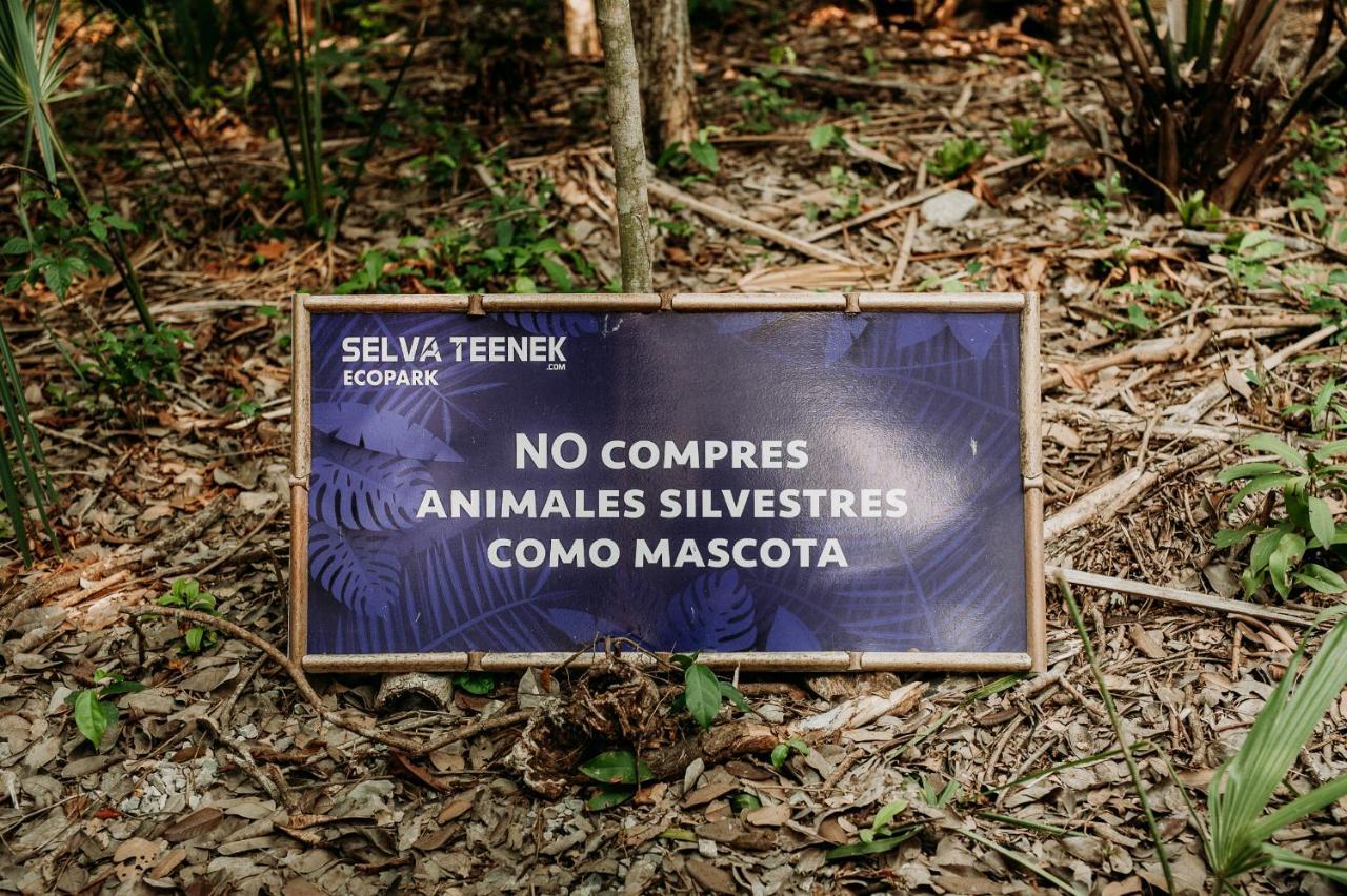 Selva Teenek Eco-Park ซิวดัด วัลเลส ภายนอก รูปภาพ
