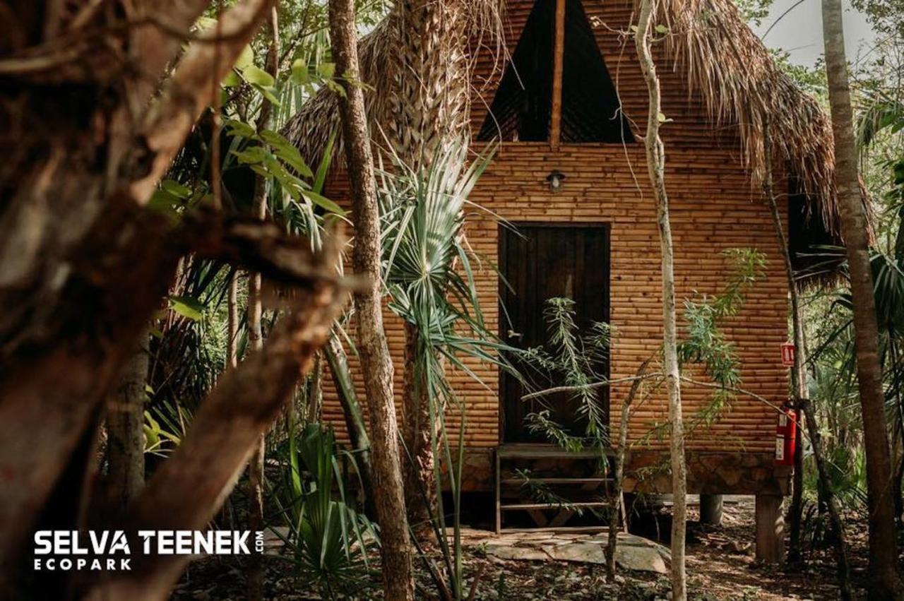 Selva Teenek Eco-Park ซิวดัด วัลเลส ภายนอก รูปภาพ